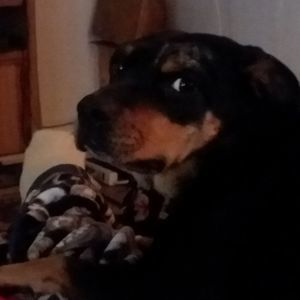 Meet your Posher, Mike